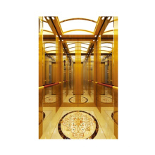 Eco-friendly Isuzu Passenger Elevator Cheap For Hotel